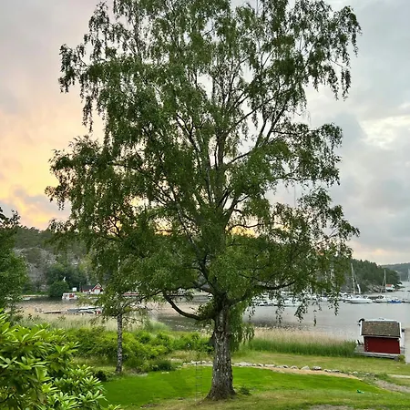 Charming Swiss-style On Hanko غريسفيك